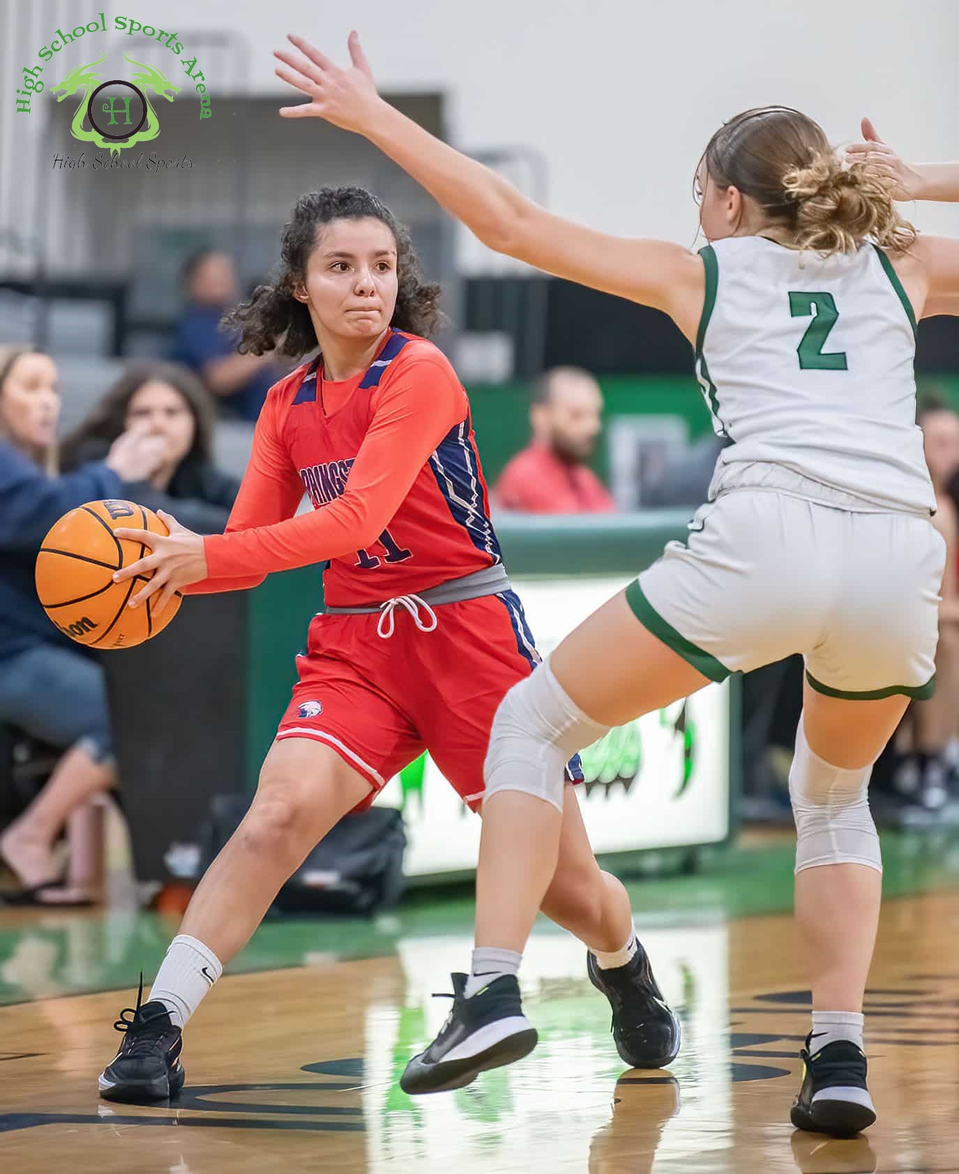 Hernando Sun All-County Girls Basketball Team 2022-2023